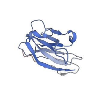 13985_7qia_B_v1-1
Structure of apo-EleNRMT in complex with two nanobodies at 3.5A