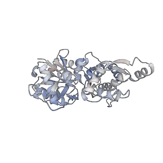 13990_7qim_C_v1-0
In situ structure of nebulin bound to actin filament in skeletal sarcomere