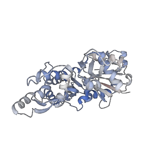 13990_7qim_D_v1-0
In situ structure of nebulin bound to actin filament in skeletal sarcomere