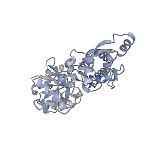 13990_7qim_E_v1-0
In situ structure of nebulin bound to actin filament in skeletal sarcomere