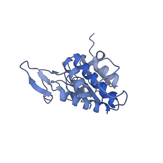 14002_7qix_E_v1-1
Specific features and methylation sites of a plant ribosome. 40S body ribosomal subunit.
