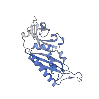 14002_7qix_F_v1-1
Specific features and methylation sites of a plant ribosome. 40S body ribosomal subunit.