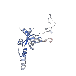 14002_7qix_I_v1-1
Specific features and methylation sites of a plant ribosome. 40S body ribosomal subunit.