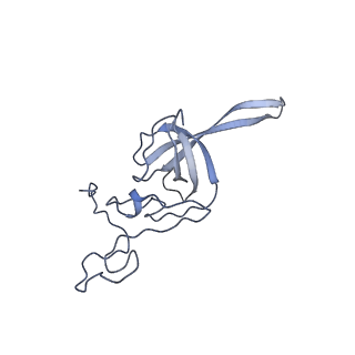 14002_7qix_J_v1-1
Specific features and methylation sites of a plant ribosome. 40S body ribosomal subunit.