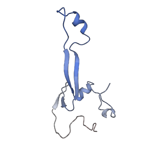 14002_7qix_N_v1-1
Specific features and methylation sites of a plant ribosome. 40S body ribosomal subunit.