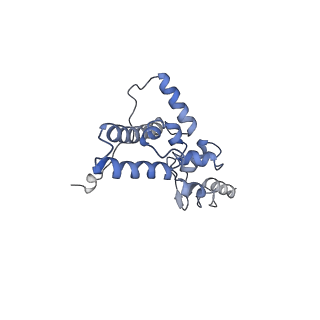 14002_7qix_Q_v1-1
Specific features and methylation sites of a plant ribosome. 40S body ribosomal subunit.