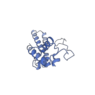 14002_7qix_R_v1-1
Specific features and methylation sites of a plant ribosome. 40S body ribosomal subunit.
