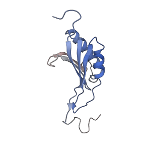 14002_7qix_S_v1-1
Specific features and methylation sites of a plant ribosome. 40S body ribosomal subunit.