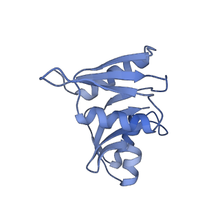 14002_7qix_T_v1-1
Specific features and methylation sites of a plant ribosome. 40S body ribosomal subunit.