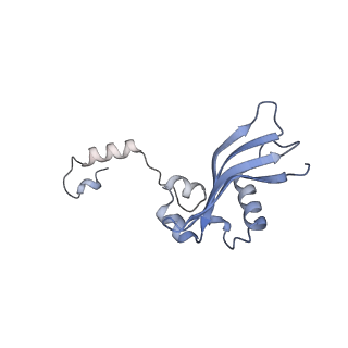 14002_7qix_U_v1-1
Specific features and methylation sites of a plant ribosome. 40S body ribosomal subunit.