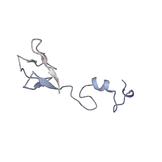 14002_7qix_V_v1-1
Specific features and methylation sites of a plant ribosome. 40S body ribosomal subunit.