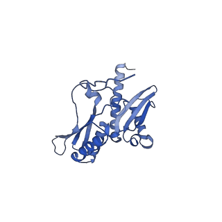 14003_7qiy_D_v1-1
Specific features and methylation sites of a plant ribosome. 40S head ribosomal subunit.
