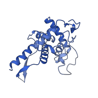 14003_7qiy_E_v1-1
Specific features and methylation sites of a plant ribosome. 40S head ribosomal subunit.