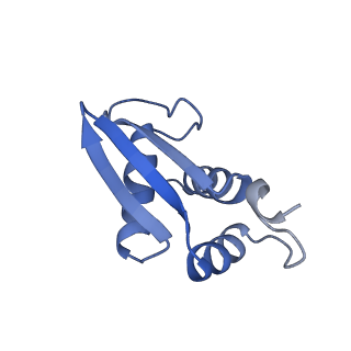 14003_7qiy_F_v1-1
Specific features and methylation sites of a plant ribosome. 40S head ribosomal subunit.