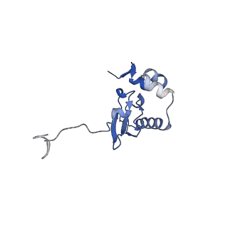 14003_7qiy_G_v1-1
Specific features and methylation sites of a plant ribosome. 40S head ribosomal subunit.