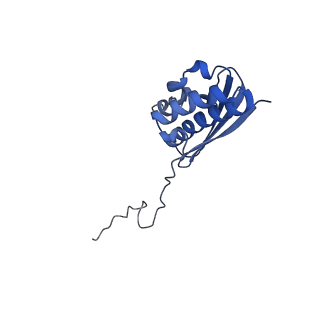 14003_7qiy_H_v1-1
Specific features and methylation sites of a plant ribosome. 40S head ribosomal subunit.