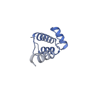 14003_7qiy_I_v1-1
Specific features and methylation sites of a plant ribosome. 40S head ribosomal subunit.