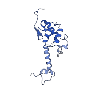 14003_7qiy_J_v1-1
Specific features and methylation sites of a plant ribosome. 40S head ribosomal subunit.