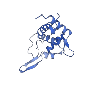 14003_7qiy_K_v1-1
Specific features and methylation sites of a plant ribosome. 40S head ribosomal subunit.