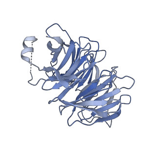 14003_7qiy_O_v1-1
Specific features and methylation sites of a plant ribosome. 40S head ribosomal subunit.