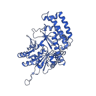 18436_8qi7_B_v1-1
Cryo-EM Structure of Human Serine Hydroxymethyltransferase, isoform 2 (SHMT2)