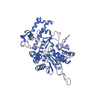 18436_8qi7_C_v1-1
Cryo-EM Structure of Human Serine Hydroxymethyltransferase, isoform 2 (SHMT2)