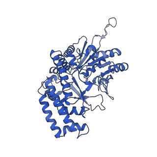 18436_8qi7_D_v1-1
Cryo-EM Structure of Human Serine Hydroxymethyltransferase, isoform 2 (SHMT2)