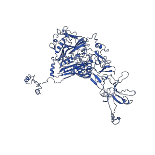 4551_6qi5_D_v1-1
Near Atomic Structure of an Atadenovirus Shows a possible gene duplication event and Intergenera Variations in Cementing Proteins