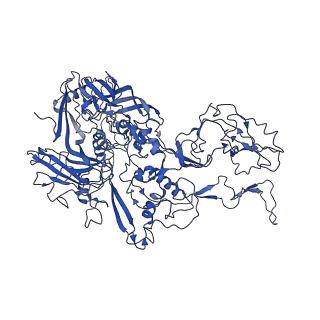4551_6qi5_E_v1-1
Near Atomic Structure of an Atadenovirus Shows a possible gene duplication event and Intergenera Variations in Cementing Proteins