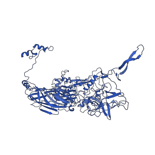 4551_6qi5_F_v1-1
Near Atomic Structure of an Atadenovirus Shows a possible gene duplication event and Intergenera Variations in Cementing Proteins