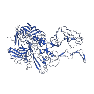4551_6qi5_K_v1-1
Near Atomic Structure of an Atadenovirus Shows a possible gene duplication event and Intergenera Variations in Cementing Proteins