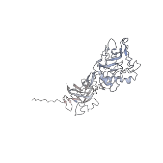 4551_6qi5_M_v1-1
Near Atomic Structure of an Atadenovirus Shows a possible gene duplication event and Intergenera Variations in Cementing Proteins