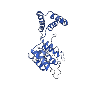 4551_6qi5_N_v1-1
Near Atomic Structure of an Atadenovirus Shows a possible gene duplication event and Intergenera Variations in Cementing Proteins