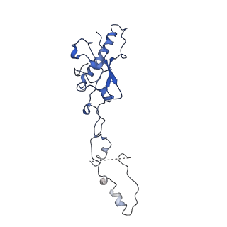 4551_6qi5_P_v1-1
Near Atomic Structure of an Atadenovirus Shows a possible gene duplication event and Intergenera Variations in Cementing Proteins