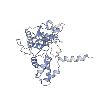4553_6qi9_E_v1-1
Truncated human R2TP complex, structure 4 (ADP-empty)