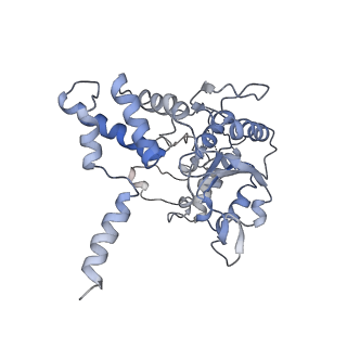 4553_6qi9_F_v1-1
Truncated human R2TP complex, structure 4 (ADP-empty)