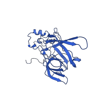 4560_6qik_B_v1-1
Cryo-EM structures of Lsg1-TAP pre-60S ribosomal particles