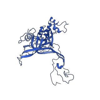 4560_6qik_C_v1-1
Cryo-EM structures of Lsg1-TAP pre-60S ribosomal particles