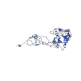 4560_6qik_D_v1-1
Cryo-EM structures of Lsg1-TAP pre-60S ribosomal particles