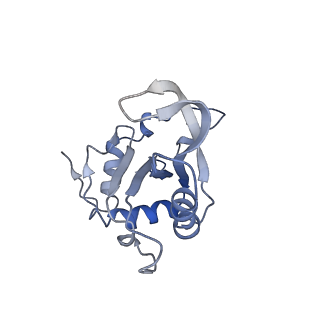 4560_6qik_E_v1-1
Cryo-EM structures of Lsg1-TAP pre-60S ribosomal particles