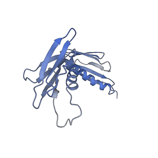 4560_6qik_F_v1-1
Cryo-EM structures of Lsg1-TAP pre-60S ribosomal particles