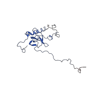 4560_6qik_G_v1-1
Cryo-EM structures of Lsg1-TAP pre-60S ribosomal particles