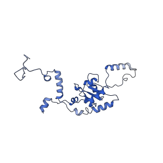 4560_6qik_H_v1-1
Cryo-EM structures of Lsg1-TAP pre-60S ribosomal particles