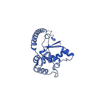 4560_6qik_J_v1-1
Cryo-EM structures of Lsg1-TAP pre-60S ribosomal particles