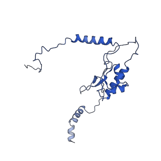 4560_6qik_K_v1-1
Cryo-EM structures of Lsg1-TAP pre-60S ribosomal particles