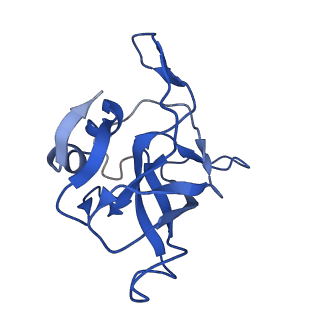 4560_6qik_L_v1-1
Cryo-EM structures of Lsg1-TAP pre-60S ribosomal particles