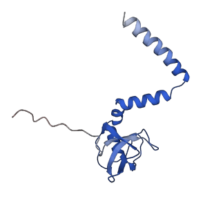 4560_6qik_M_v1-1
Cryo-EM structures of Lsg1-TAP pre-60S ribosomal particles