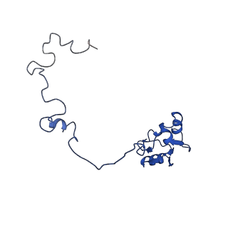 4560_6qik_N_v1-1
Cryo-EM structures of Lsg1-TAP pre-60S ribosomal particles