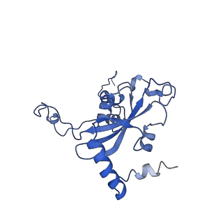 4560_6qik_O_v1-1
Cryo-EM structures of Lsg1-TAP pre-60S ribosomal particles