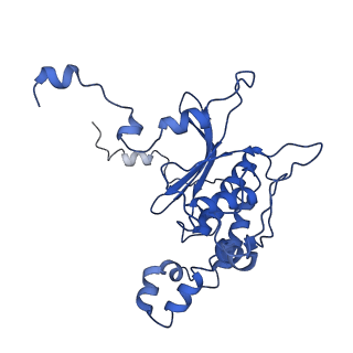 4560_6qik_P_v1-1
Cryo-EM structures of Lsg1-TAP pre-60S ribosomal particles
